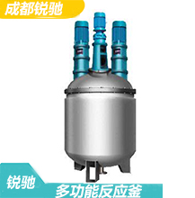 多功能反應釜的構成結構、參數技術典型的主體反應設備設計特點-成